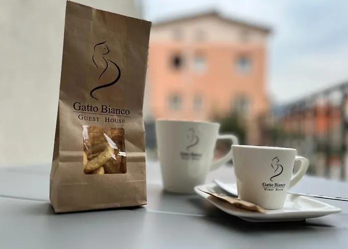 Gatto Bianco Bed & Breakfast 3*
