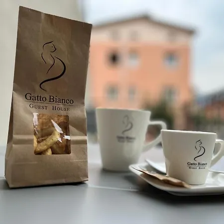 Gatto Bianco Bed & Breakfast *